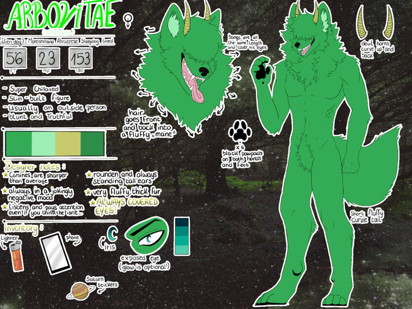 INTERMEDIATE ON THE SIMPLER SIDE